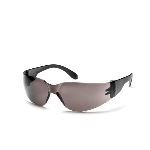 Apsauginiai akiniai Active VISION V116 (Tamsinti) Apsauginiai akiniai Active VISION V116 (Tamsinti)